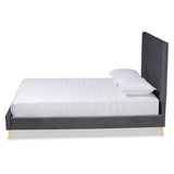 Baxton Studio Serrano Contemporary Glam and Luxe Grey Velvet Fabric Upholstered and Gold Metal King Size Platform Bed