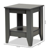 Audra Modern and Contemporary Grey Finished Wood Living Room End Table