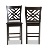 Caron Modern and Contemporary Transitional Dark Brown Finished Wood 2-Piece Counter Stool Set