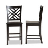 Caron Modern and Contemporary Transitional Dark Brown Finished Wood 2-Piece Counter Stool Set