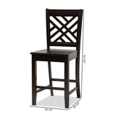 Caron Modern and Contemporary Transitional Dark Brown Finished Wood 2-Piece Counter Stool Set