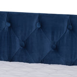 Raphael Modern and Contemporary Navy Blue Velvet Fabric Upholstered Queen Size Daybed with Trundle