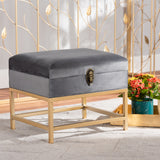 Baxton Studio Aliana Glam and Luxe Grey Velvet Fabric Upholstered and Gold Finished Metal Small Storage Ottoman 