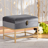 Baxton Studio Aliana Glam and Luxe Grey Velvet Fabric Upholstered and Gold Finished Metal Small Storage Ottoman 