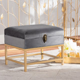 Baxton Studio Aliana Glam and Luxe Grey Velvet Fabric Upholstered and Gold Finished Metal Small Storage Ottoman 