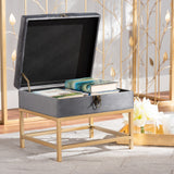 Baxton Studio Aliana Glam and Luxe Grey Velvet Fabric Upholstered and Gold Finished Metal Small Storage Ottoman 