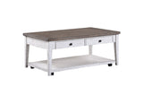 ECI Furniture La Sierra Cocktail Table, Gray & White Distressed Gray-White Hardwood solids and veneers