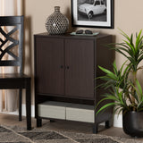 Baxton Studio Rossin Modern and Contemporary Dark Brown Finished Wood 2-Door Entryway Shoe Storage Cabinet