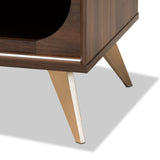 Dena Mid-Century Modern Walnut Brown Wood and Gold Finished TV Stand