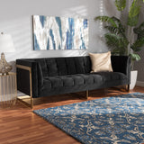 Ambra Glam and Luxe Black Velvet Upholstered and Button Tufted Sofa with Gold-Tone Frame