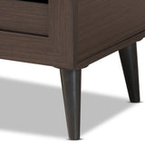 Salma Modern and Contemporary Dark Brown Finished Wood 2-Door Shoe Storage Cabinet