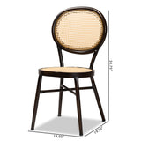 Baxton Studio Thalia Mid-Century Modern Dark Brown Finished Metal and Synthetic Rattan 2-Piece Outdoor Dining Chair Set