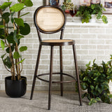 Baxton Studio Thalia Mid-Century Modern Dark Brown Finished Metal and Synthetic Rattan Outdoor Bar Stool