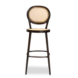 Baxton Studio Thalia Mid-Century Modern Dark Brown Finished Metal and Synthetic Rattan Outdoor Bar Stool