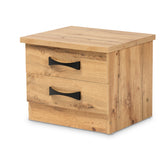 Colburn Modern and Contemporary Oak Brown Finished Wood 2-Drawer Nightstand 