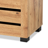 Adalwin Modern and Contemporary Oak Brown Finished Wood 2-Door Shoe Storage Cabinet