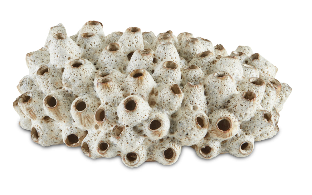 Sulawasi Shells Decorative Sculpture - Handmade Stoneware Art by Women Artisans from Southeast Asia