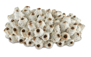 Sulawasi Shells Decorative Sculpture - Handmade Stoneware Art by Women Artisans from Southeast Asia