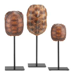 Turtle Shells Set of 3