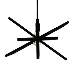 Yosemite Home Decor 1 Light Pendant In Matte Black Finish 120032312-YHD
