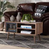 Yuna Mid-Century Modern Transitional Natural Brown Finished Wood and Black Metal 1-Door Coffee Table