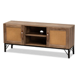 Veanna Bohemian Natural Brown Finished Wood and Black Metal 2-Door TV Stand with Synthetic Rattan