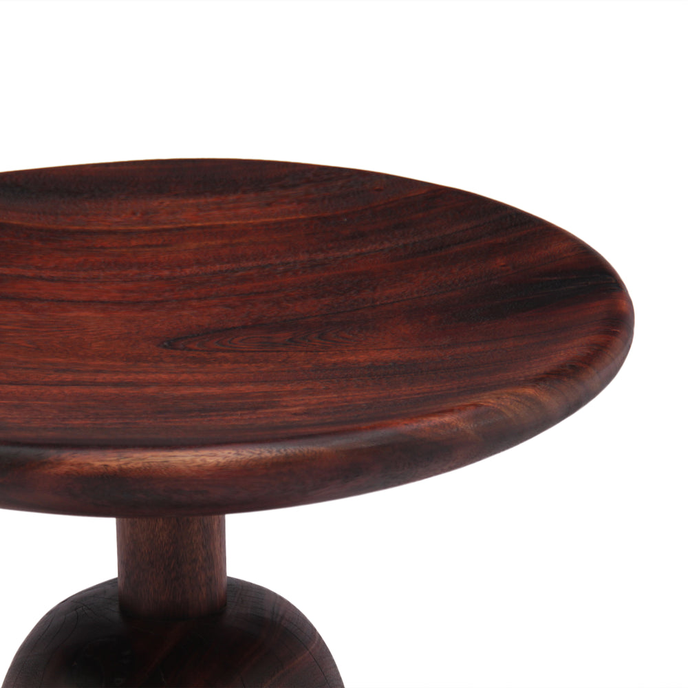 New Pacific Direct Kawhi Trembesi Large End Table Dark Brown with Dark Brown Leg Finish 1210021-DB-NPD