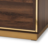 Cormac Mid-Century Modern Transitional Walnut Brown Finished Wood and Gold Metal 2-Door TV Stand