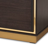 Cormac Mid-Century Modern Transitional Dark Brown Finished Wood and Gold Metal 2-Door TV Stand