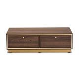 Cormac Mid-Century Modern Transitional Walnut Brown Finished Wood and Gold Metal 2-Drawer Coffee Table