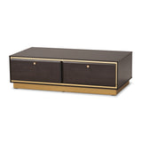 Cormac Mid-Century Modern Transitional Gold Metal 2-Drawer Coffee Table