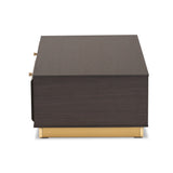 Cormac Mid-Century Modern Transitional Dark Brown Finished Wood and Gold Metal 2-Drawer Coffee Table