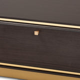 Cormac Mid-Century Modern Transitional Dark Brown Finished Wood and Gold Metal 2-Drawer Coffee Table