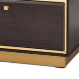 Cormac Mid-Century Modern Transitional Dark Brown Finished Wood and Gold Metal 2-Drawer Coffee Table