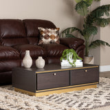 Cormac Mid-Century Modern Transitional Dark Brown Finished Wood and Gold Metal 2-Drawer Coffee Table