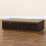 Cormac Mid-Century Modern Transitional Dark Brown Finished Wood and Gold Metal 2-Drawer Coffee Table