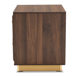 Cormac Mid-Century Modern Transitional Walnut Brown Finished Wood and Gold Metal 2-Drawer Nightstand