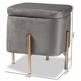 Aleron Contemporary Glam and Luxe Grey Velvet Fabric Upholstered and Gold Finished Metal Storage Ottoman