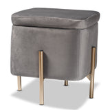 Aleron Contemporary Glam and Luxe Grey Velvet Fabric Upholstered and Gold Finished Metal Storage Ottoman