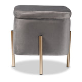 Aleron Contemporary Glam and Luxe Grey Velvet Fabric Upholstered and Gold Finished Metal Storage Ottoman