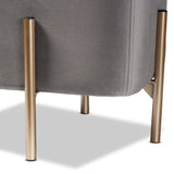 Aleron Contemporary Glam and Luxe Grey Velvet Fabric Upholstered and Gold Finished Metal Storage Ottoman