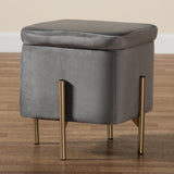 Aleron Contemporary Glam and Luxe Grey Velvet Fabric Upholstered and Gold Finished Metal Storage Ottoman