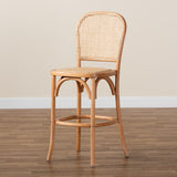 Vance Mid-Century Modern Brown Woven Rattan and Wood Cane Counter Stool