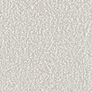 New Pacific Direct Cedric Fabric Dining Side Chair Gold Legs - Set of 2 1250026-563-NPD