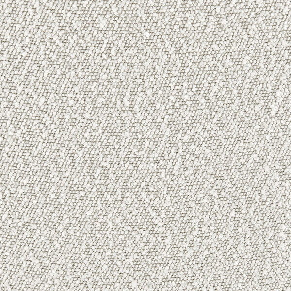 New Pacific Direct Cedric Fabric Dining Side Chair Gold Legs - Set of 2 1250026-563-NPD