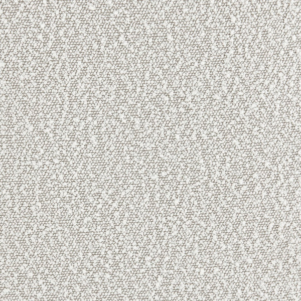 New Pacific Direct Ariela Fabric Accent Arm Chair 1250032-563-NPD