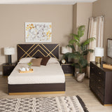 Arcelia Contemporary Glam and Luxe Two-Tone Dark Brown and Gold Finished Wood Queen Size 4-Piece Bedroom Set