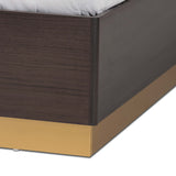 Baxton Studio Arcelia Contemporary Glam and Luxe Two-Tone Dark Brown and Gold Finished Wood Queen Size Platform Bed