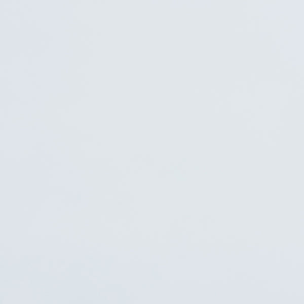 Baxton Studio Ceri Classic and Traditional White Finished Wood Full Size Daybed