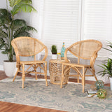 Varick Modern Bohemian Natural Brown Finished Rattan 2-Piece Dining Chair Set